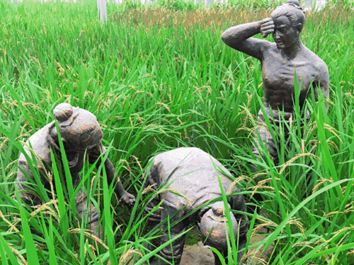 農耕知識研學(xué)