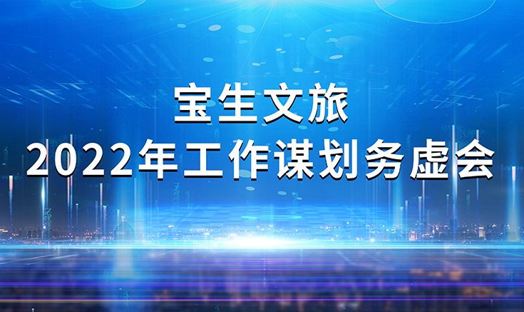 寶生文旅召開(kāi)2022年工作謀劃務(wù)虛會(huì )