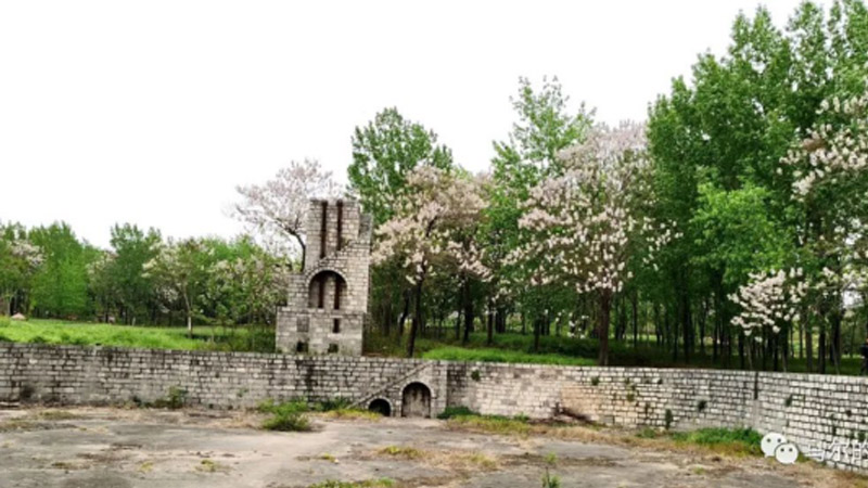 馬爾的視覺(jué)：梧桐花開(kāi)的時(shí)節